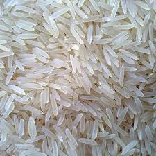 Basmati 1509