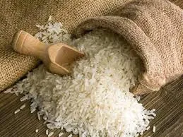 Common Paddy / Standard Rice
