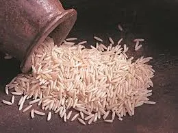 Nagri Dubraj (Aromatic)