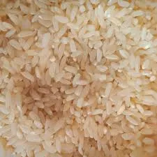 Shyam Bhog Rice