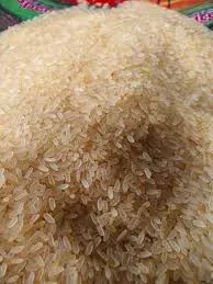 स्वर्ण सब-1 चावल