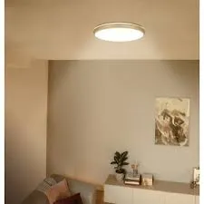 Ceiling Light