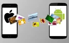 Data Transfer
